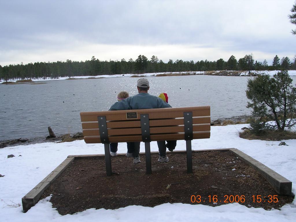 Adair Springs Cabin Pinetop-Lakeside Zewnętrze zdjęcie