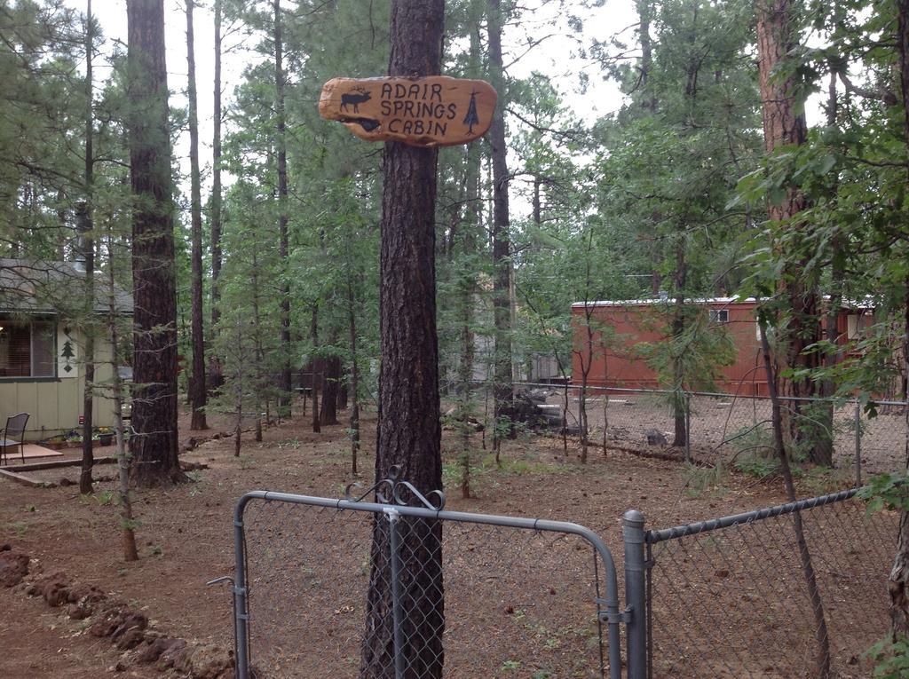Adair Springs Cabin Pinetop-Lakeside Zewnętrze zdjęcie