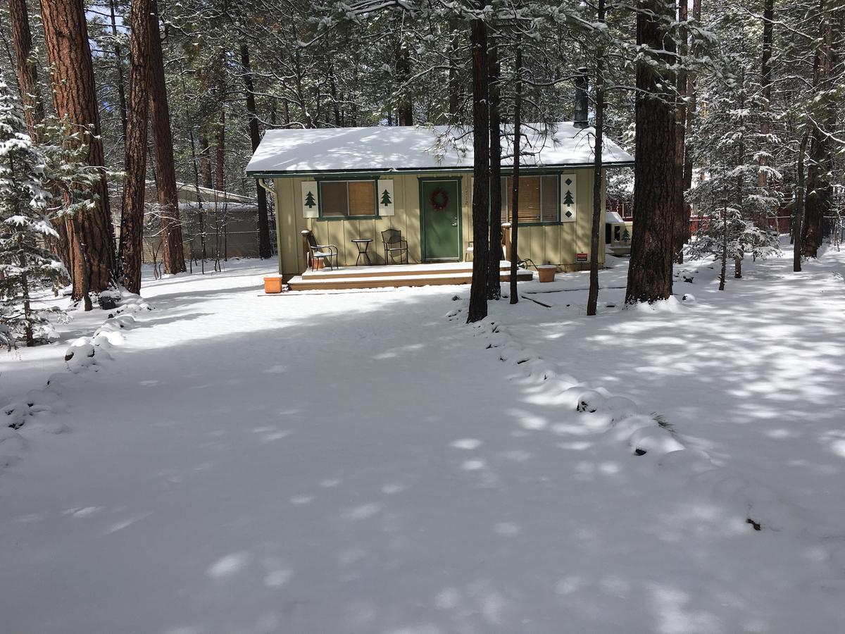 Adair Springs Cabin Pinetop-Lakeside Zewnętrze zdjęcie